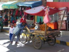 Vendeur de fruit à vélo