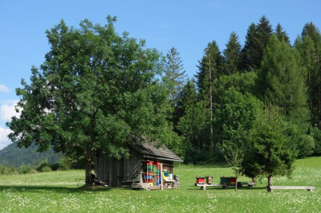 "Maison de ruches" au bord du lac de Weissensee